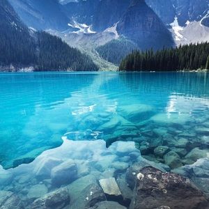 Meet your Posher, Itta